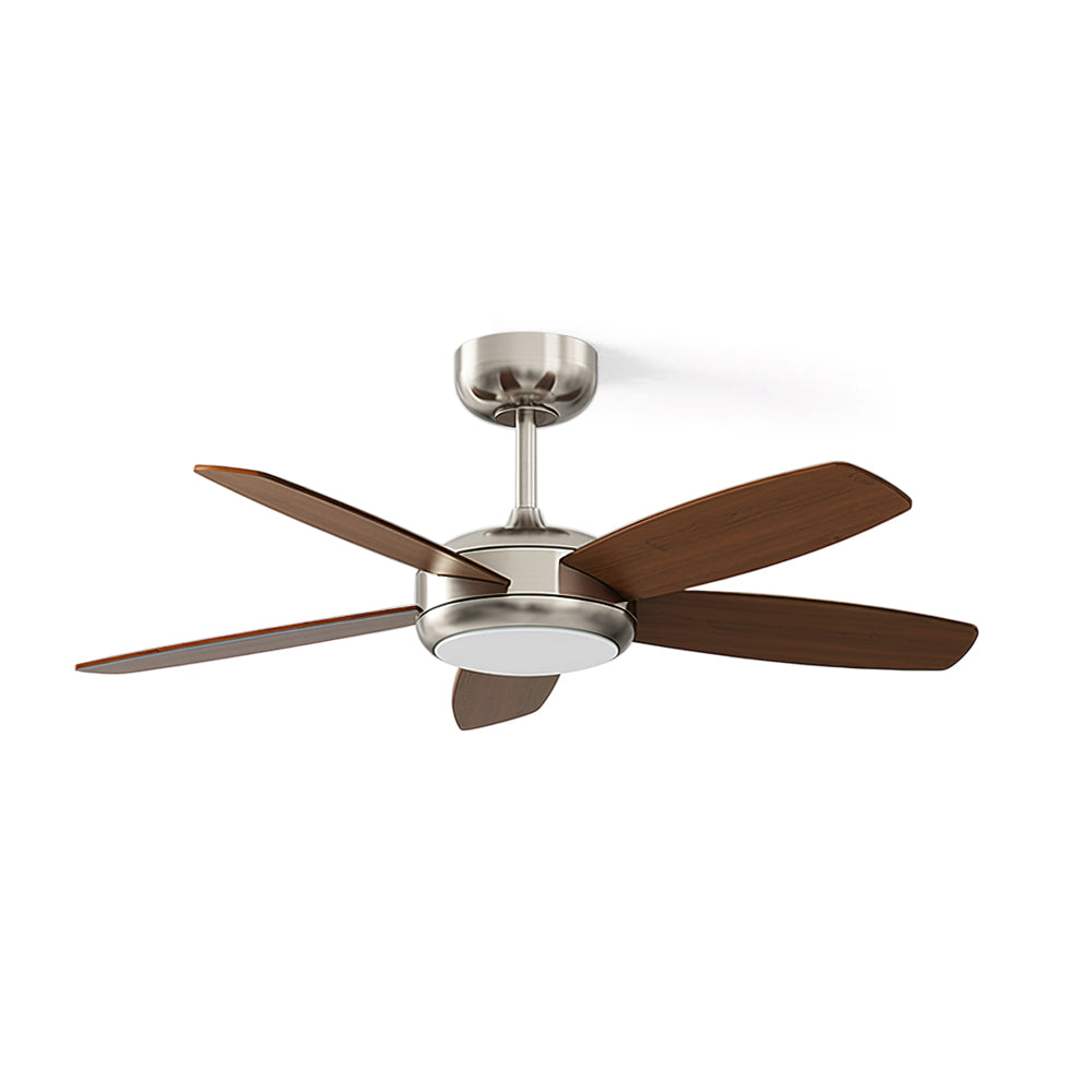 Destin Ceiling Fan Light