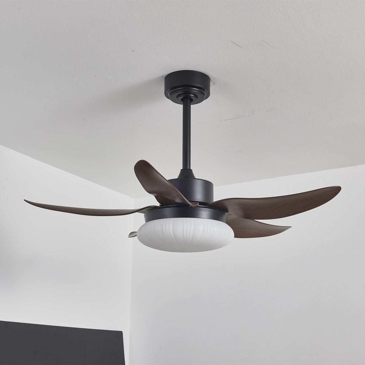 Moasis Ceiling Fan Light – detail 10