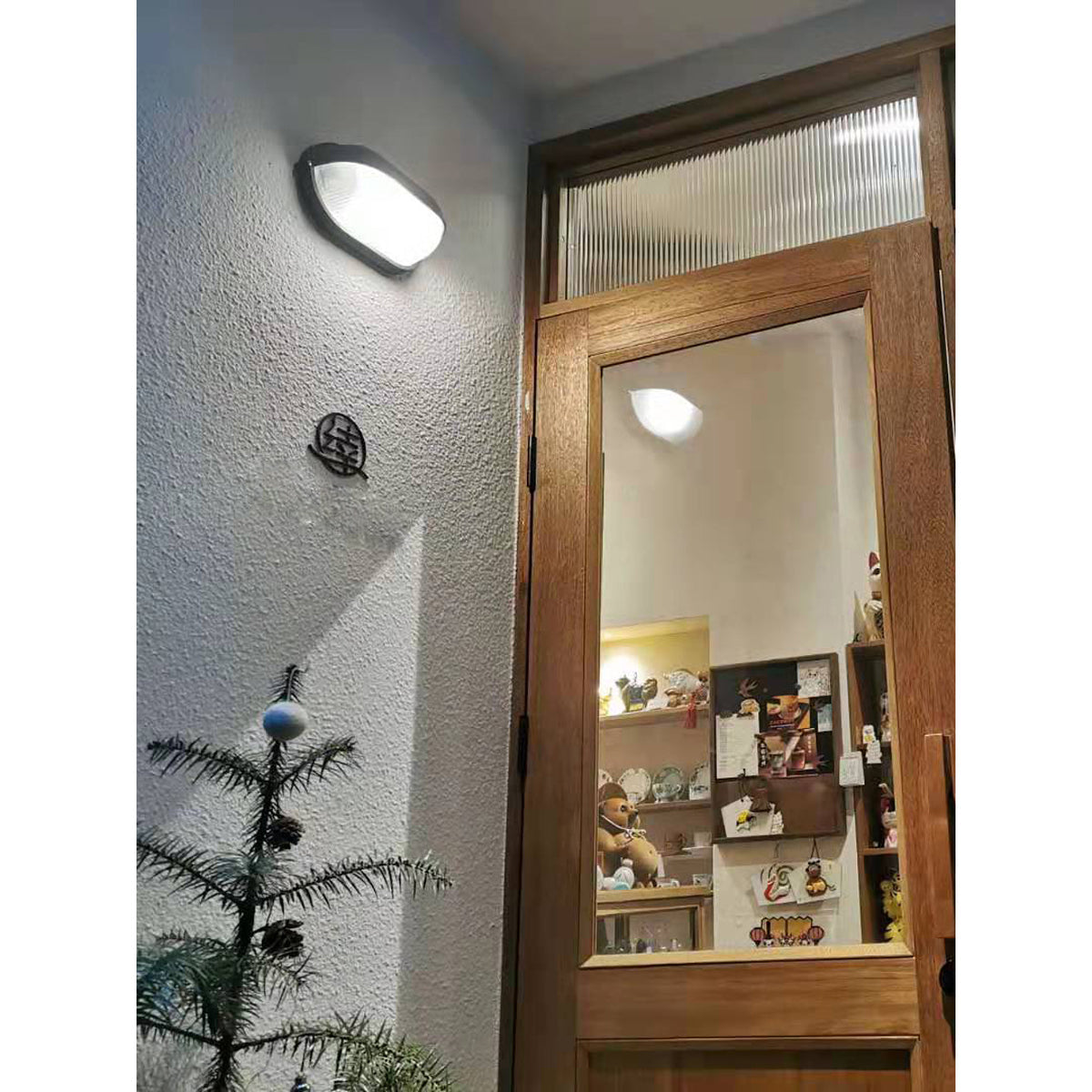 Kinkiet zewnętrzny Zalrenon