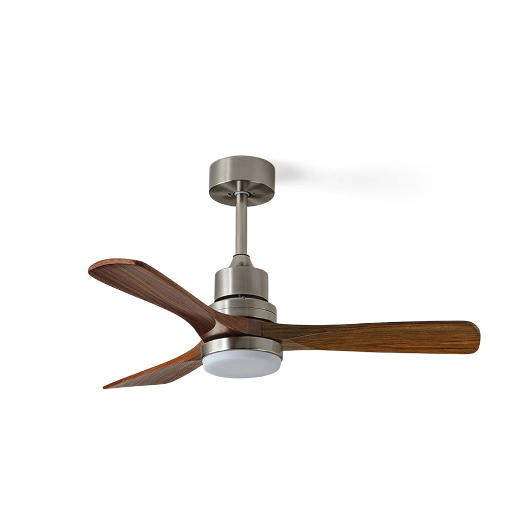 Orren Ceiling Fan Light