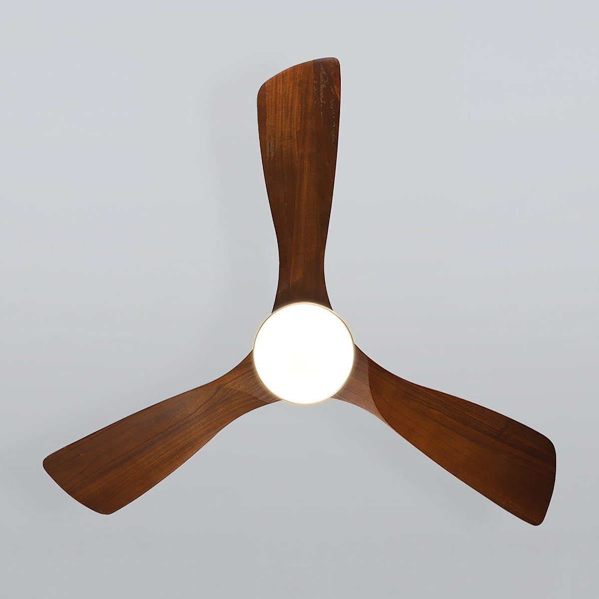 Orren Ceiling Fan Light – detail 14