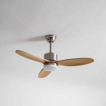 Lampa z wentylatorem sufitowym Rozoma