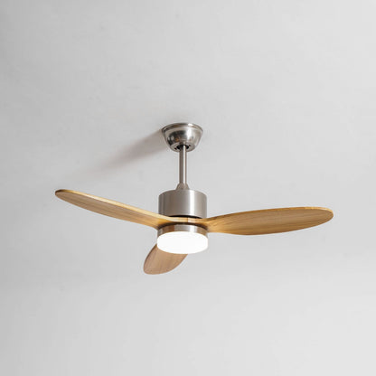 Lampa z wentylatorem sufitowym Rozoma