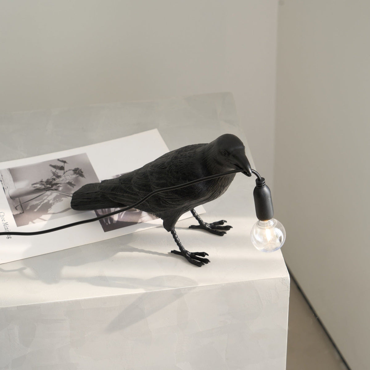 Raven Resin Table Lamp – detail 16